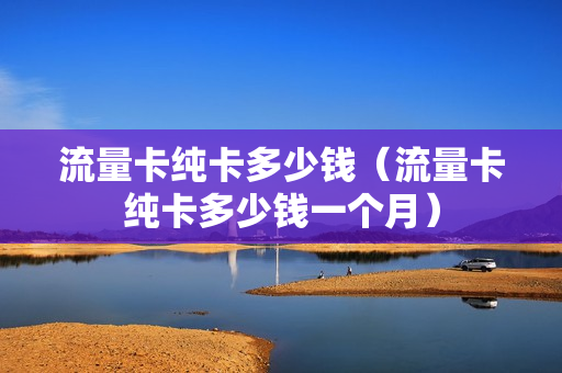 流量卡纯卡多少钱（流量卡纯卡多少钱一个月）