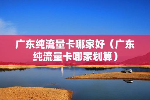 广东纯流量卡哪家好（广东纯流量卡哪家划算）