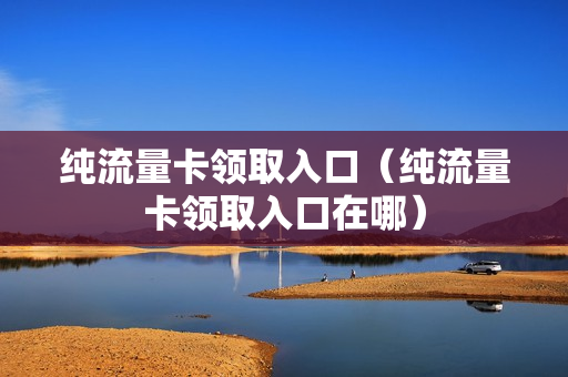 纯流量卡领取入口（纯流量卡领取入口在哪）