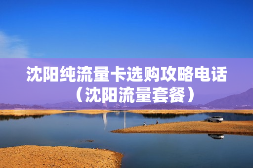 沈阳纯流量卡选购攻略电话（沈阳流量套餐）