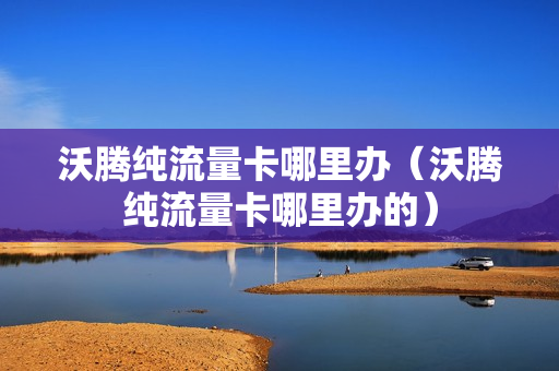 沃腾纯流量卡哪里办（沃腾纯流量卡哪里办的）