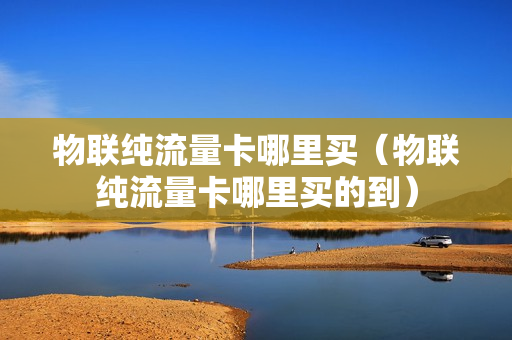 物联纯流量卡哪里买（物联纯流量卡哪里买的到）