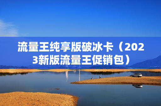 流量王纯享版破冰卡（2023新版流量王促销包）