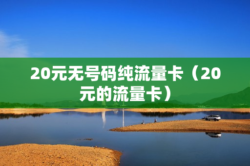 20元无号码纯流量卡（20元的流量卡）