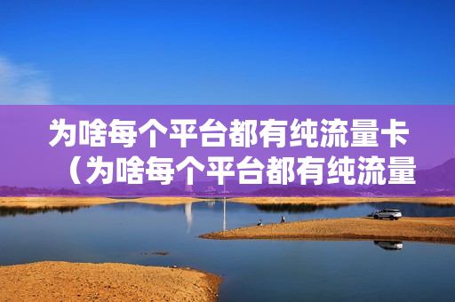 为啥每个平台都有纯流量卡（为啥每个平台都有纯流量卡卖）