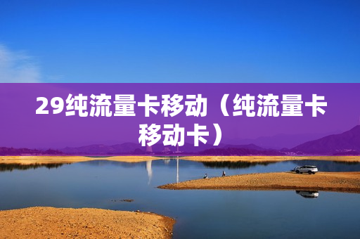 29纯流量卡移动（纯流量卡移动卡）