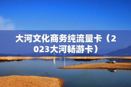 大河文化商务纯流量卡（2023大河畅游卡）