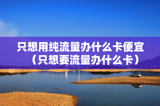 只想用纯流量办什么卡便宜（只想要流量办什么卡）