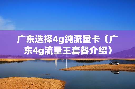 广东选择4g纯流量卡（广东4g流量王套餐介绍）
