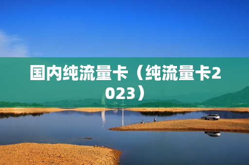 国内纯流量卡（纯流量卡2023）