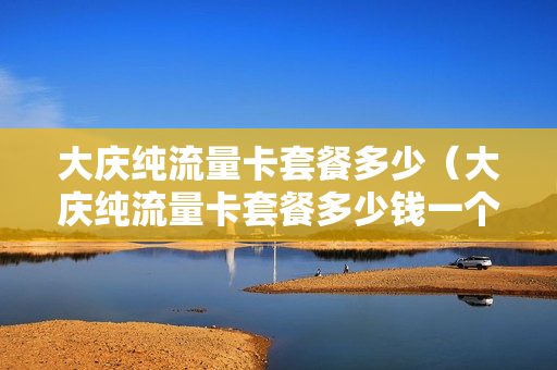 大庆纯流量卡套餐多少（大庆纯流量卡套餐多少钱一个月）