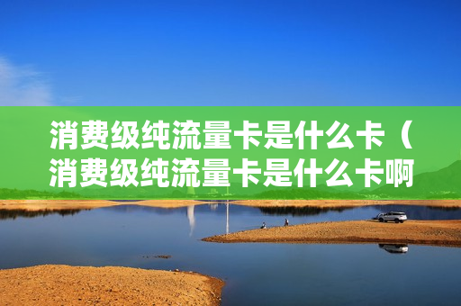 消费级纯流量卡是什么卡（消费级纯流量卡是什么卡啊）