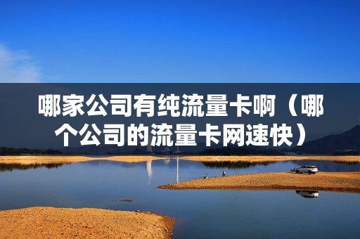 哪家公司有纯流量卡啊（哪个公司的流量卡网速快）