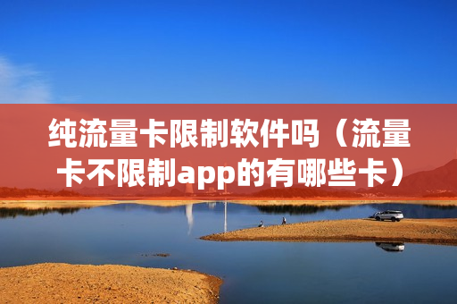 纯流量卡限制软件吗（流量卡不限制app的有哪些卡）