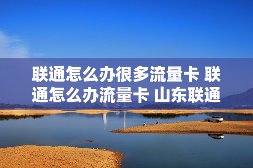 联通怎么办很多流量卡 联通怎么办流量卡 山东联通