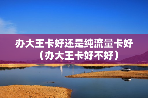 办大王卡好还是纯流量卡好（办大王卡好不好）
