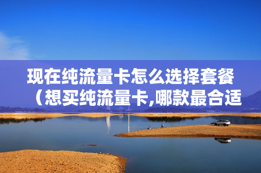 现在纯流量卡怎么选择套餐（想买纯流量卡,哪款最合适）