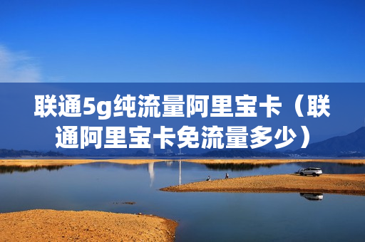 联通5g纯流量阿里宝卡（联通阿里宝卡免流量多少）