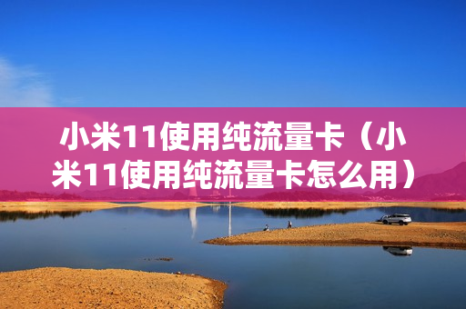 小米11使用纯流量卡（小米11使用纯流量卡怎么用）