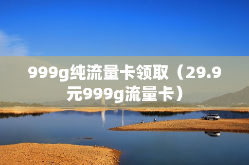 999g纯流量卡领取（29.9元999g流量卡）
