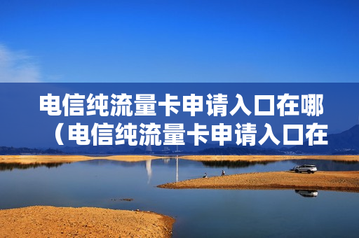 电信纯流量卡申请入口在哪（电信纯流量卡申请入口在哪看）