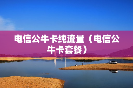 电信公牛卡纯流量（电信公牛卡套餐）