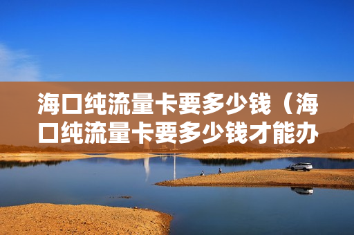 海口纯流量卡要多少钱（海口纯流量卡要多少钱才能办）