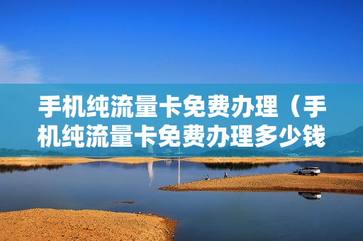 手机纯流量卡免费办理（手机纯流量卡免费办理多少钱）