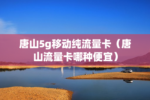 唐山5g移动纯流量卡（唐山流量卡哪种便宜）