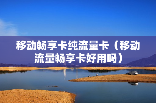 移动畅享卡纯流量卡（移动流量畅享卡好用吗）