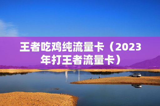 王者吃鸡纯流量卡（2023年打王者流量卡）