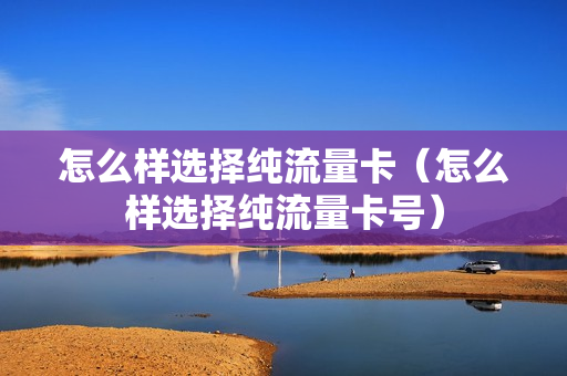 怎么样选择纯流量卡（怎么样选择纯流量卡号）