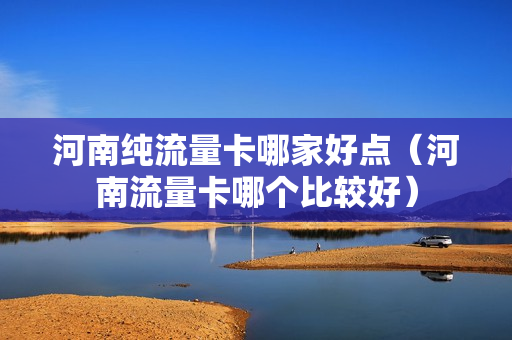 河南纯流量卡哪家好点（河南流量卡哪个比较好）