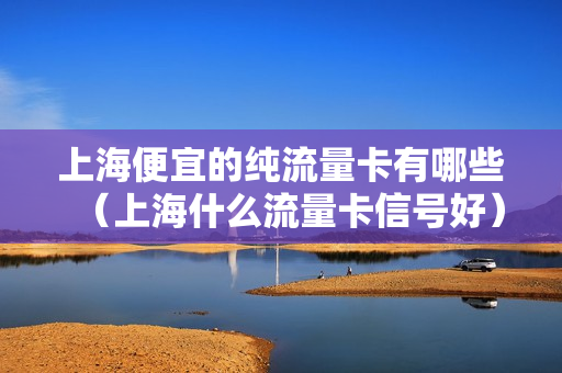上海便宜的纯流量卡有哪些（上海什么流量卡信号好）