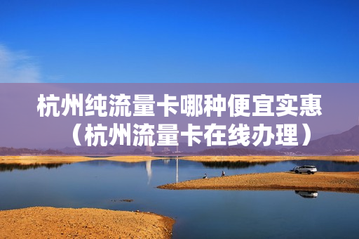 杭州纯流量卡哪种便宜实惠（杭州流量卡在线办理）