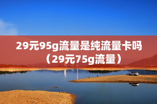 29元95g流量是纯流量卡吗（29元75g流量）