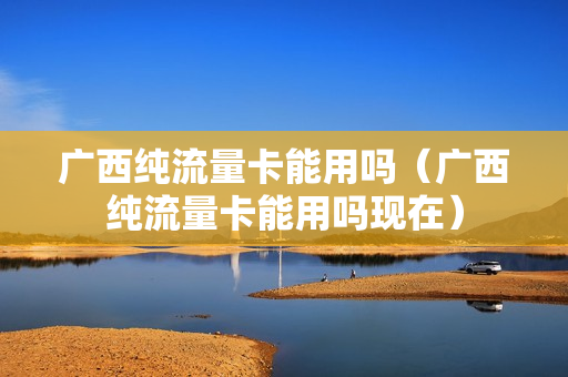 广西纯流量卡能用吗（广西纯流量卡能用吗现在）