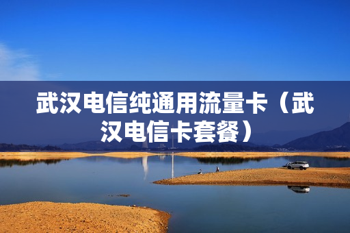 武汉电信纯通用流量卡（武汉电信卡套餐）