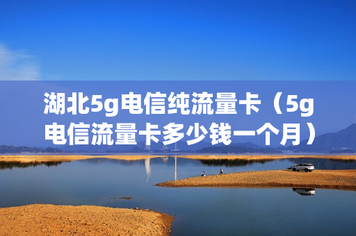 湖北5g电信纯流量卡（5g电信流量卡多少钱一个月）
