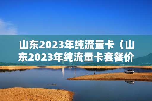 山东2023年纯流量卡（山东2023年纯流量卡套餐价格）