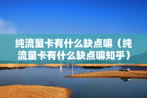 纯流量卡有什么缺点嘛（纯流量卡有什么缺点嘛知乎）