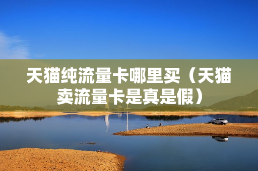 天猫纯流量卡哪里买（天猫卖流量卡是真是假）