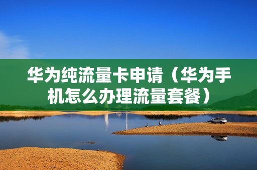华为纯流量卡申请（华为手机怎么办理流量套餐）