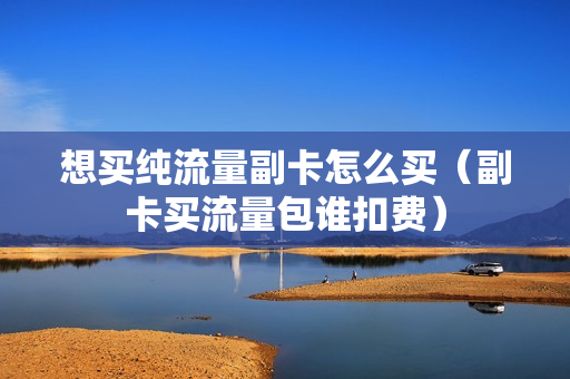 想买纯流量副卡怎么买（副卡买流量包谁扣费）
