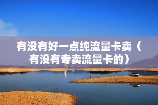 有没有好一点纯流量卡卖（有没有专卖流量卡的）