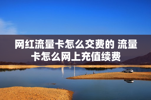 网红流量卡怎么交费的 流量卡怎么网上充值续费