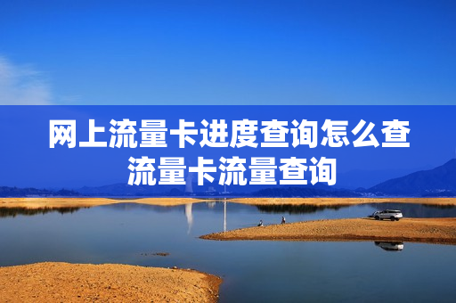 网上流量卡进度查询怎么查 流量卡流量查询