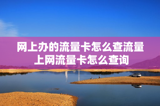 网上办的流量卡怎么查流量 上网流量卡怎么查询