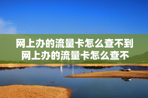 网上办的流量卡怎么查不到 网上办的流量卡怎么查不到了