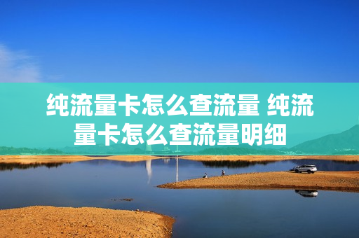 纯流量卡怎么查流量 纯流量卡怎么查流量明细